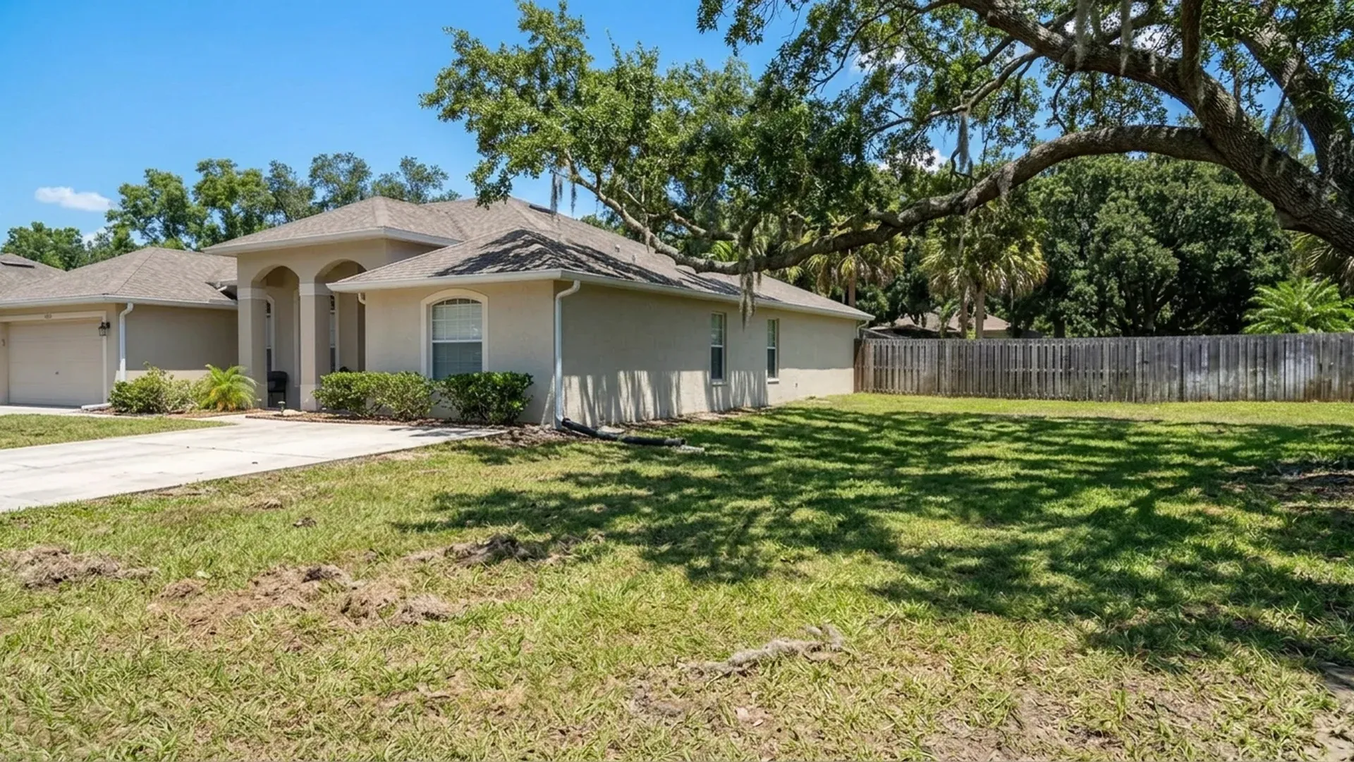 Large oak tree with limbs near the roofline of a Florida house on a sunny day
