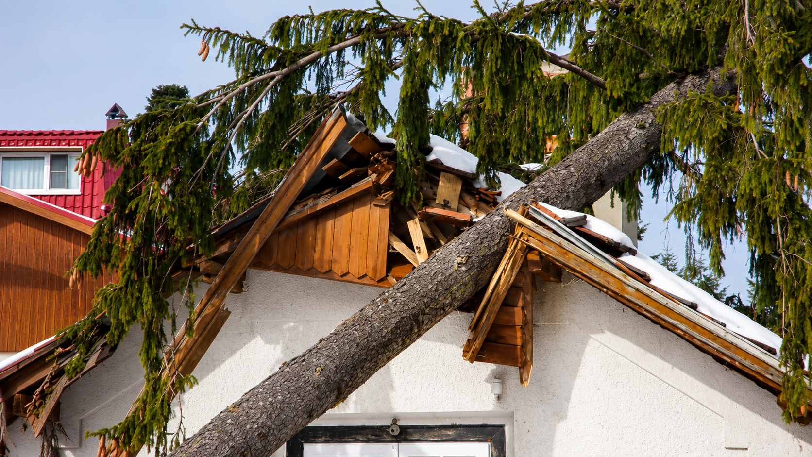 Storm Damage Cleanup Tampa FL - What Recovery Really Takes.png