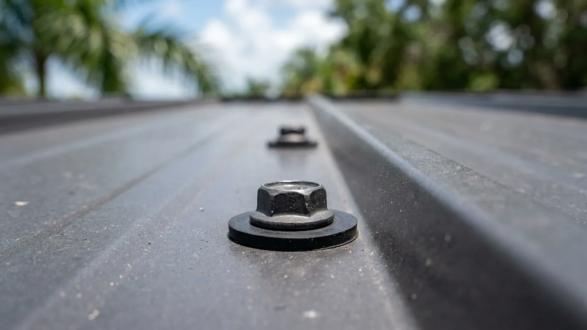 Low-angle close-up of a black hex flange head roofing screw with a black rubber washer on a dark gray ribbed metal roof panel, with a second screw blurred behind it and palm trees and a partly cloudy blue sky in the background